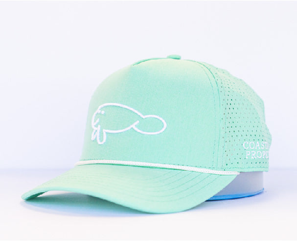 Ash Seafoam Mid-Crown 5 Panel Tritech Hat